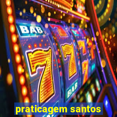 praticagem santos